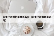 玩电子游戏的英文怎么写（玩电子游戏用英语写）
