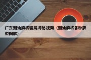 广东潮汕麻将骗局揭秘视频（潮汕麻将各种牌型图解）