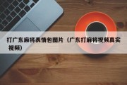 打广东麻将表情包图片（广东打麻将视频真实 视频）