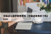中国进入俄罗斯世界杯（中国进世界杯了吗2020）