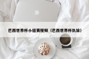 巴西世界杯小组赛视频（巴西世界杯犰狳）